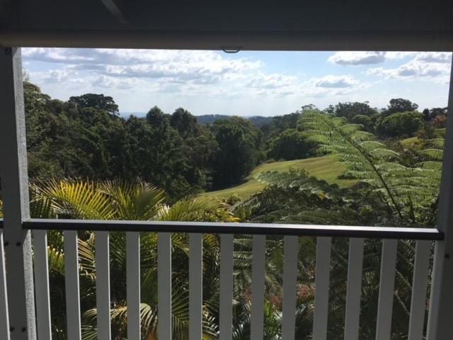 Avocado Grove Sunshine Coast